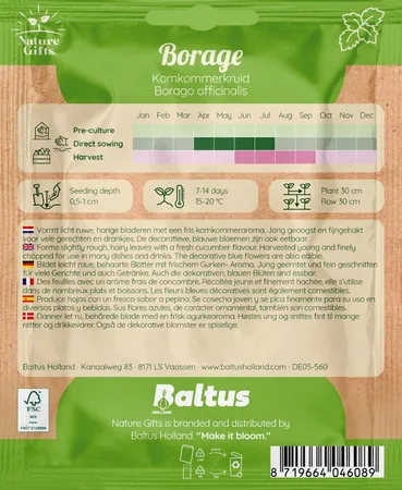 Borage komkommerkruid 50st - afbeelding 2