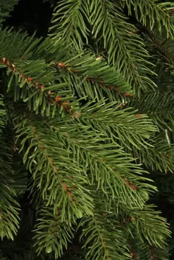 Brampton kerstboom slim groen - h215 x d125cm