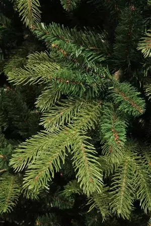 Brampton kerstboom slim groen - h230 x d132cm