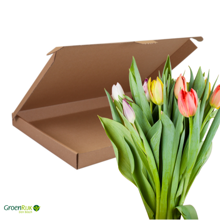 Brievenbus Cadeau Tulpen Gemixt