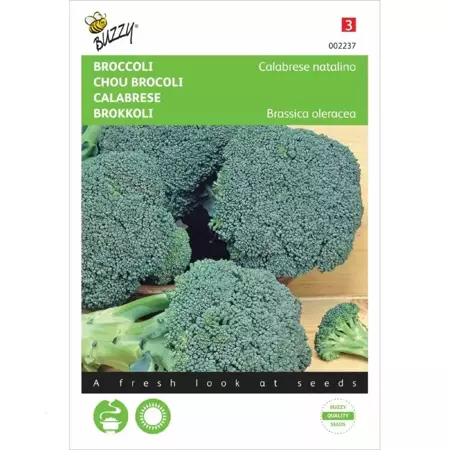 Broccoli Calabrese natalino, groen - afbeelding 1