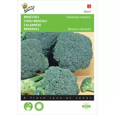 Broccoli Calabrese natalino, groen - afbeelding 1