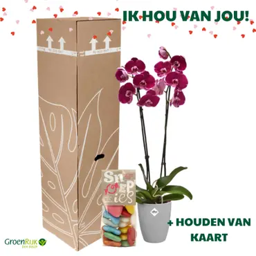 Cadeau Box Kamerplant Valentijnsdag - Roze Anthurium