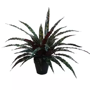 Kunstplant Calathea met pot - h50cm