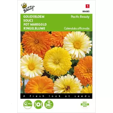 Calendula, Goudbloem Pacific Beauty gemengd - afbeelding 2