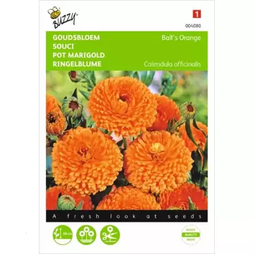 Calendula, Goudsbloem Ball’s Orange dubbelbloemig - afbeelding 1