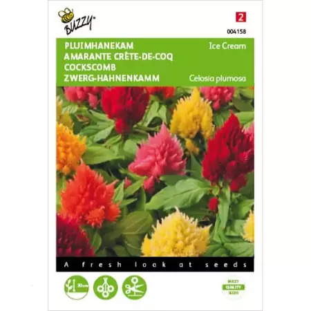 Celosia, Pluimhanekam Ice Cream gemengd - afbeelding 1