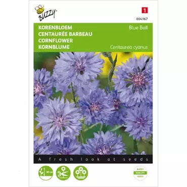 Centaurea, Korenbloem Blue Ball dubbelbloemig - afbeelding 1