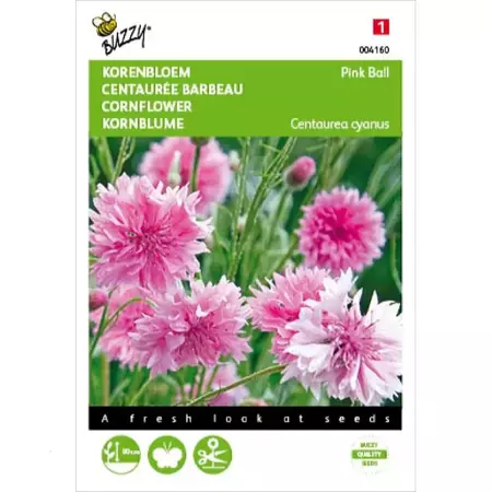 Centaurea, Korenbloem Pink Ball - afbeelding 1