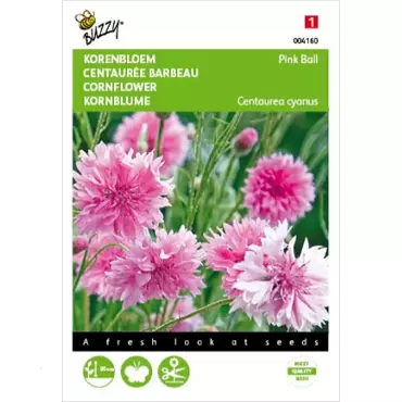 Centaurea, Korenbloem Pink Ball - afbeelding 1