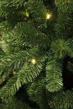 Charlton kerstboom led groen - h155 x d91cm