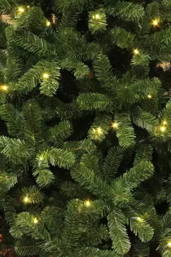 Charlton kerstboom led groen - h185 x d115cm