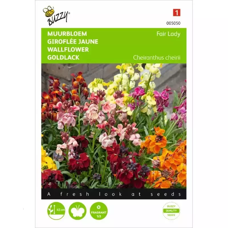 Cheiranthus , Muurbloem Fair Lady gemengd