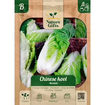 Chinese kool michihili 70st - afbeelding 1