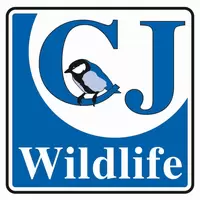 CJ Wildbird