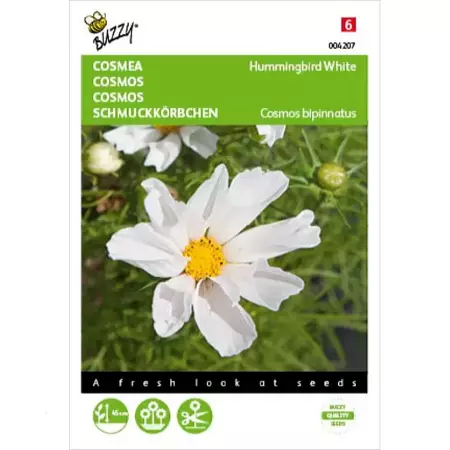 Cosmos, Cosmea Hummingbird White - afbeelding 1