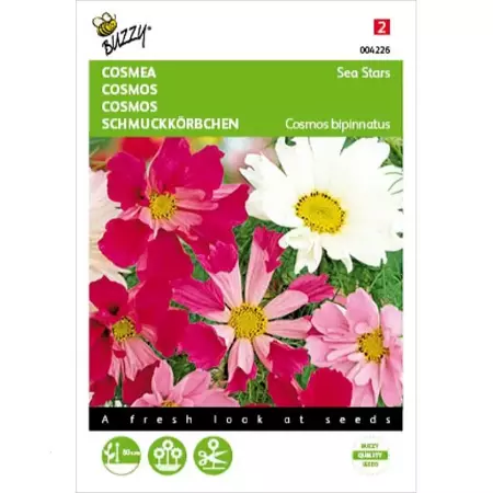 Cosmos, Cosmea Sea Stars gemengd - afbeelding 1