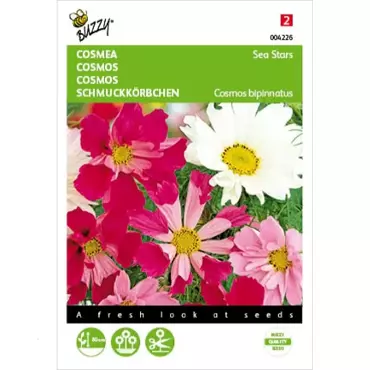 Cosmos, Cosmea Sea Stars gemengd - afbeelding 2