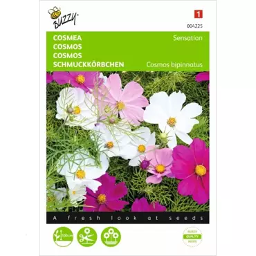 Cosmos, Cosmea Sensation gemengd - afbeelding 1