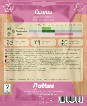 Cosmos sensation mengsel 40st - afbeelding 2