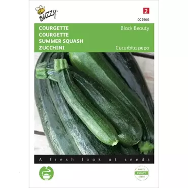 Courgette Black Beauty - Verte De Milan - afbeelding 1