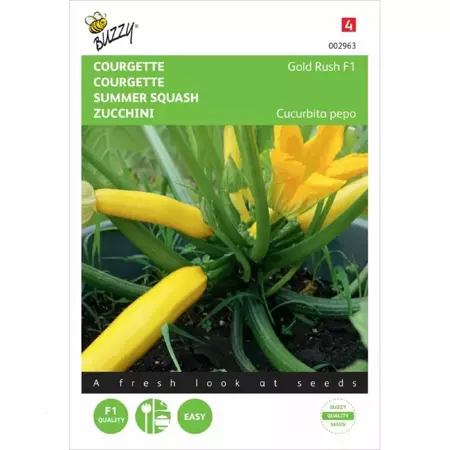 Courgette Gold Rush F1 - afbeelding 1