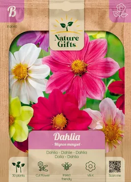 Dahlia mignon mengsel 30st