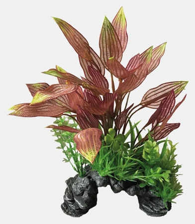 Deco plant l henkelianus - afbeelding 2