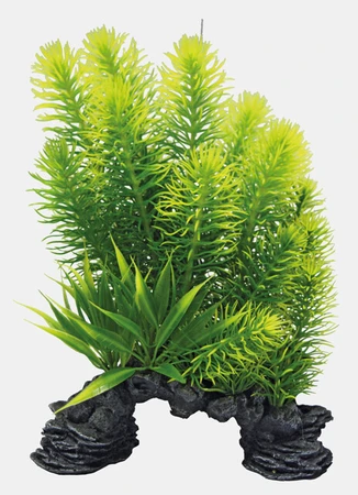 Deco plant l myriophyllum - afbeelding 2