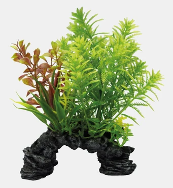 Deco plant s hottonia - afbeelding 2