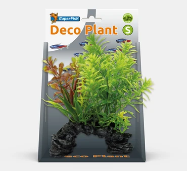 Deco plant s hottonia - afbeelding 1