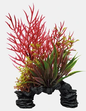 Deco plant s ludwigia - afbeelding 2