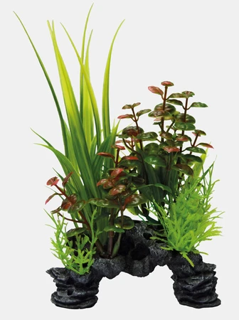 Deco plant s rotala - afbeelding 2
