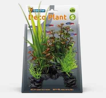 Deco plant s rotala - afbeelding 1