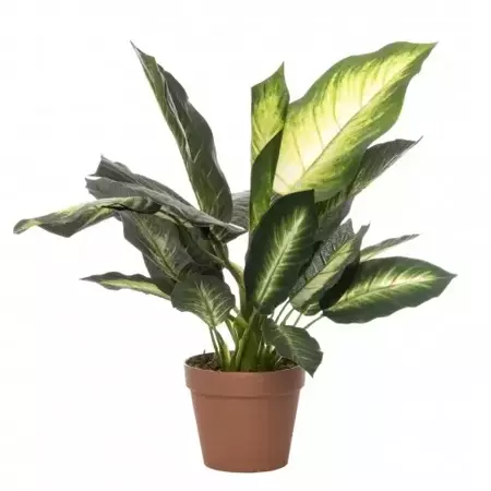 Kunstblad Dieffenbachia met pot - h50cm