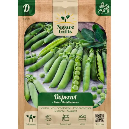 Doperwt kleine rijnlander per 7m - afbeelding 1