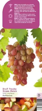 Druivenstruik Vitis vinifera Katharina - Roze druif