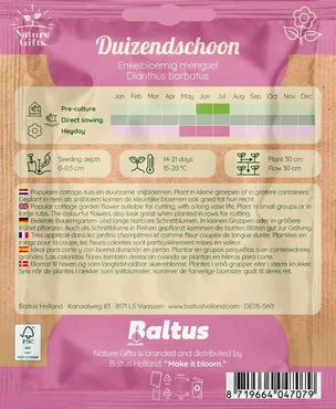Duizendschoon enkelbloemig mengsel 60st - afbeelding 2