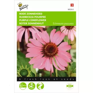 Echinacea, Rode Zonnehoed - afbeelding 2