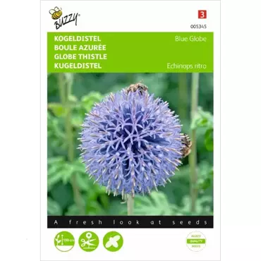 Echinops, Kogeldistel Blue Globe - afbeelding 2