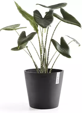 Ecopots Bloempot Amsterdam Ø30cm - Donkergrijs - afbeelding 2