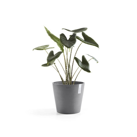 Ecopots Bloempot Amsterdam Ø30cm -  Grijs - afbeelding 2