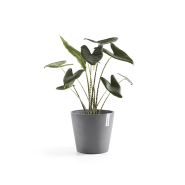 Ecopots Bloempot Amsterdam Ø30cm -  Grijs - afbeelding 2