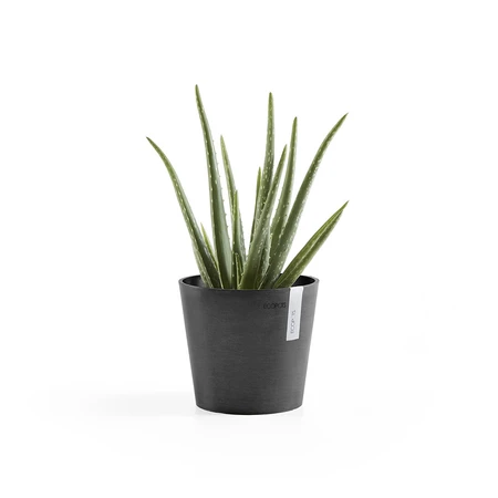 Ecopots Bloempot Amsterdam Mini Ø17cm - Donkergrijs - afbeelding 2