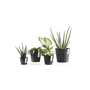 Ecopots Bloempot Amsterdam Mini Ø17cm - Donkergrijs - afbeelding 3