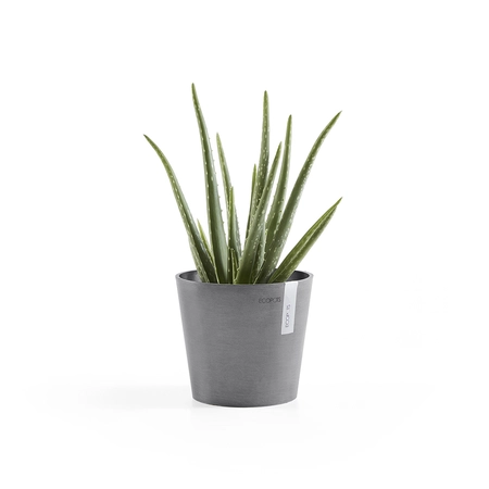 Ecopots bloempot Amsterdam Mini Ø17cm - Grijs - afbeelding 2