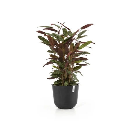 Ecopots Bloempot Oslo Ø35cm - Donkergrijs - afbeelding 2