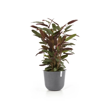 Ecopots Bloempot Oslo Ø35cm - Grijs - afbeelding 2