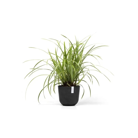 Ecopots Bloempot Oslo mini Ø19cm - Donkergrijs - afbeelding 2