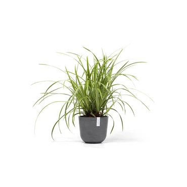 Ecopots Bloempot Oslo mini Ø19cm - Grijs - afbeelding 2